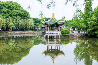 浙江的 橘子洲 ,是中国四大名屿,门票仅30元