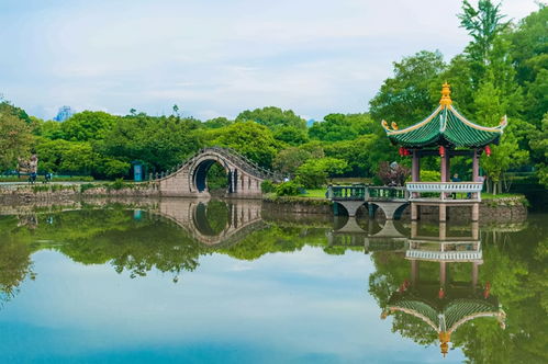 温州隐藏在闹市中的美景,历代文人墨客都对此赞叹不已,你想去吗