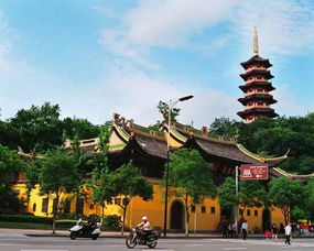 离开温州的理由千万种,但爱上却只需一种