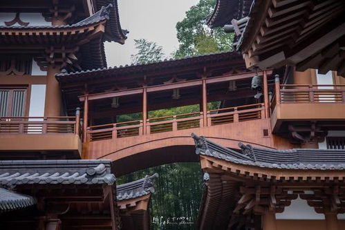 温州江心寺 千年古刹重现光彩，免费开放惠泽香客