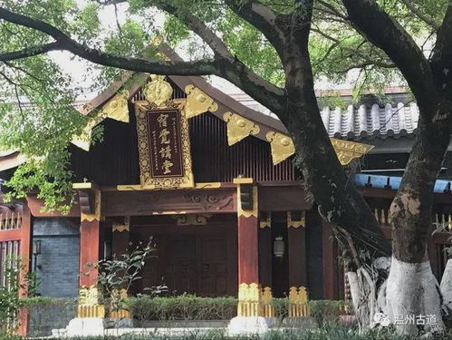 寻踪松台山 温州江心寺——寻找记忆里的温州之四