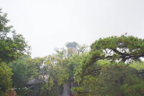 孤屿双塔映瓯江，千年诗岛待知音——探访温州江心屿的静谧与沉思