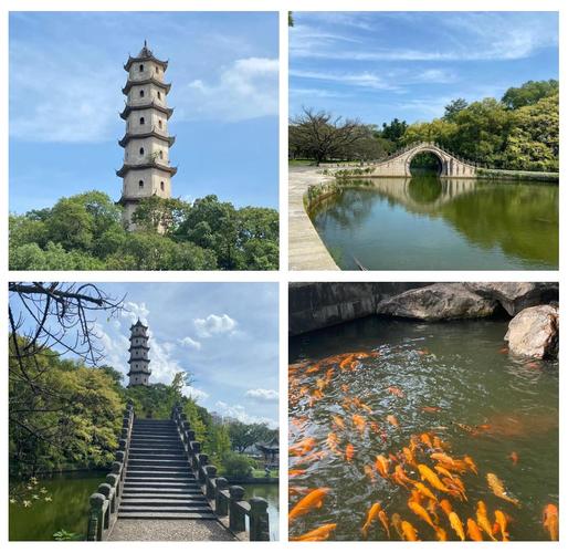 温州江心寺 探秘古刹的静谧之地